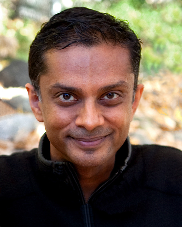 Auteur Vikas Bhushan